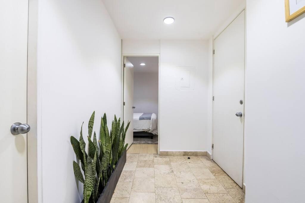 Апартаменты Loft Donceles 6 Cdmx! Мехико Экстерьер фото